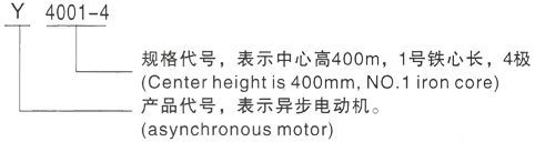 西安泰富西玛Y系列(H355-1000)高压YRKK3554-4/220KW三相异步电机型号说明