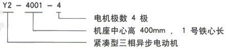 YR系列(H355-1000)高压YRKK3554-4/220KW三相异步电机西安西玛电机型号说明